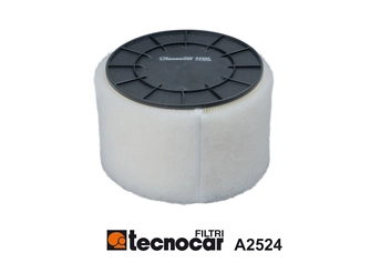 A2524 TECNOCAR Воздушный фильтр (фото 2)