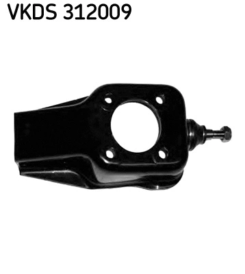 VKDS 312009 SKF Шарнир независимой подвески / поворотного рычага (фото 1)