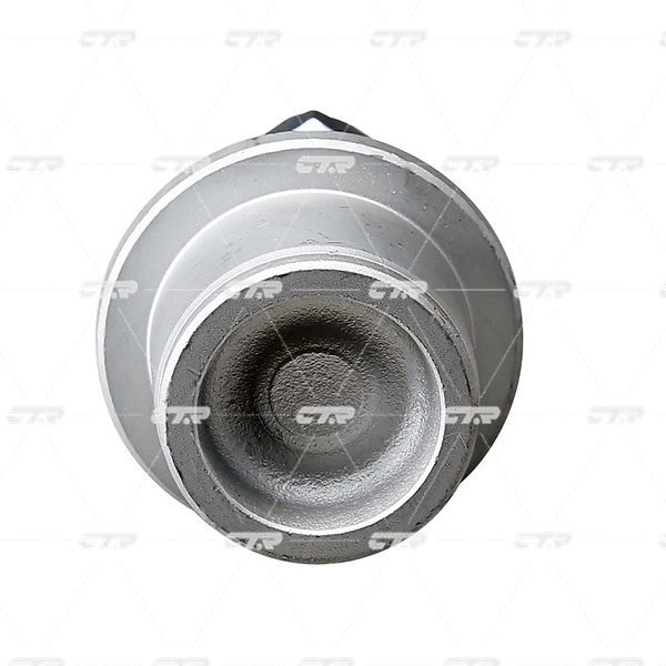 CB0200 CTR Шарнир независимой подвески / поворотного рычага (фото 2)