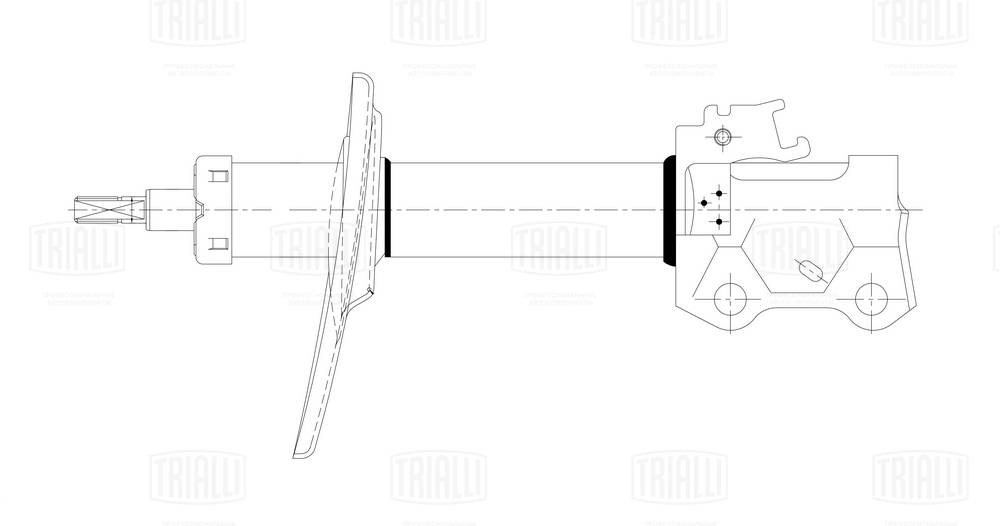 AG 19164 TRIALLI Амортизатор (фото 1)