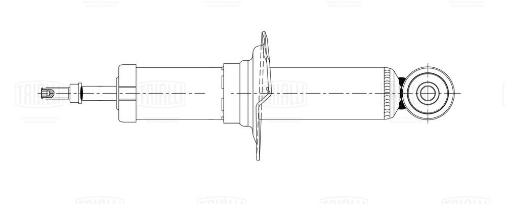 AG 22506 TRIALLI Амортизатор (фото 1)