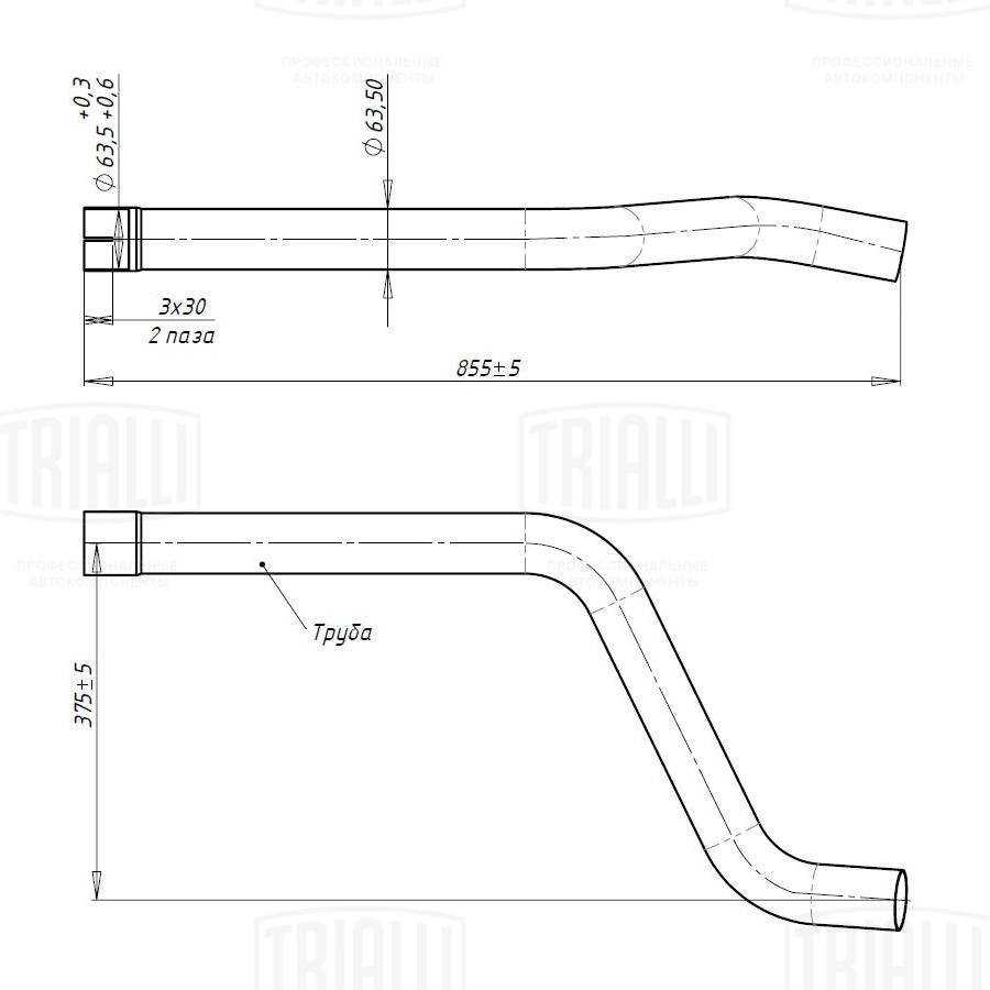 EMP 0310 TRIALLI Труба выхлопного газа (фото 2)