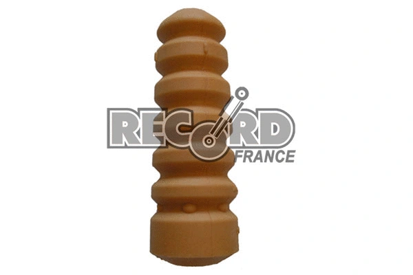 925925 RECORD FRANCE Пылезащитный комплект, амортизатор (фото 1)
