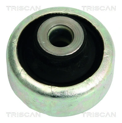 8500 10823 TRISCAN Подвеска, рычаг независимой подвески колеса (фото 1)