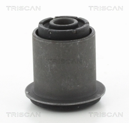 8500 13852 TRISCAN Подвеска, рычаг независимой подвески колеса (фото 1)