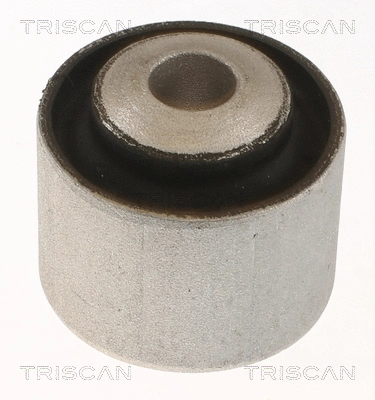 8500 238030 TRISCAN Подвеска, рычаг независимой подвески колеса (фото 1)