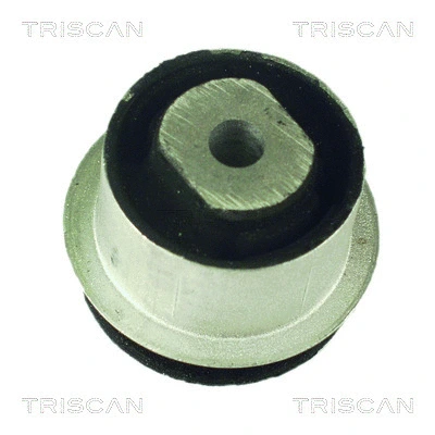 8500 24832 TRISCAN Подвеска, рычаг независимой подвески колеса (фото 1)