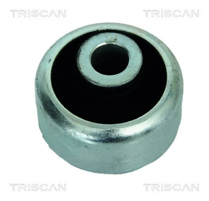 8500 25811 TRISCAN Подвеска, рычаг независимой подвески колеса (фото 1)