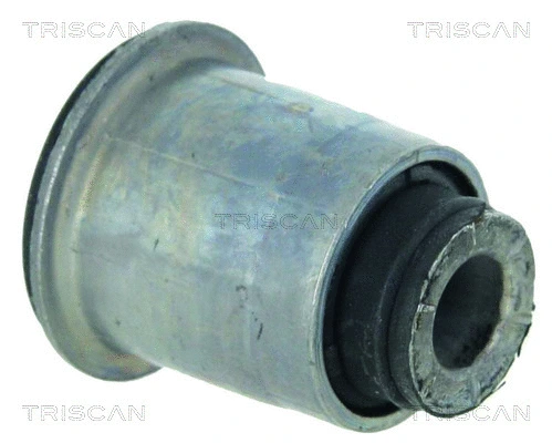 8500 25816 TRISCAN Подвеска, рычаг независимой подвески колеса (фото 1)