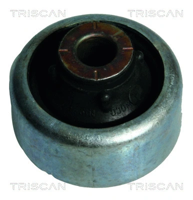 8500 25817 TRISCAN Подвеска, рычаг независимой подвески колеса (фото 1)