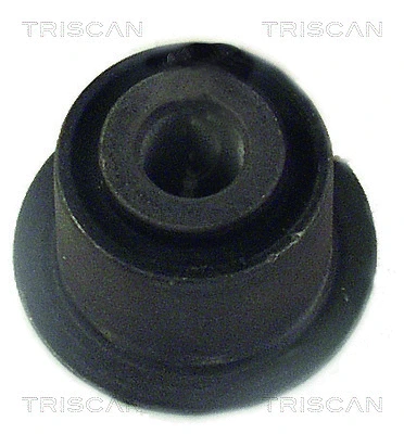 8500 28804 TRISCAN Подвеска, рычаг независимой подвески колеса (фото 1)