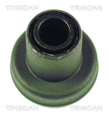 8500 29800 TRISCAN Подвеска, рычаг независимой подвески колеса (фото 1)