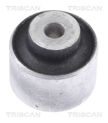 8500 298056 TRISCAN Подвеска, рычаг независимой подвески колеса (фото 1)