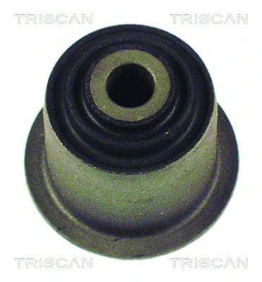 8500 29806 TRISCAN Подвеска, рычаг независимой подвески колеса (фото 1)