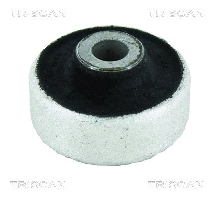 8500 29881 TRISCAN Подвеска, рычаг независимой подвески колеса (фото 1)