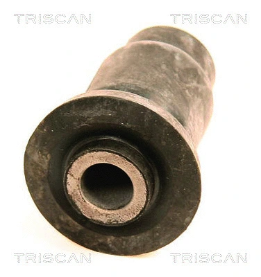 8500 50801 TRISCAN Подвеска, рычаг независимой подвески колеса (фото 1)