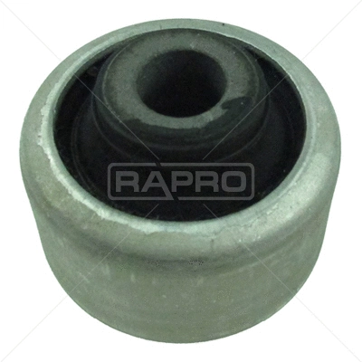 R53184 RAPRO Подвеска, рычаг независимой подвески колеса (фото 1)