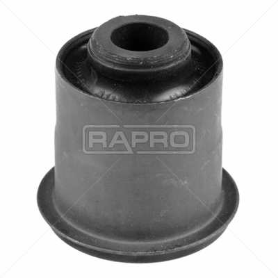R54551 RAPRO Подвеска, рычаг независимой подвески колеса (фото 1)