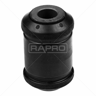 R54809 RAPRO Подвеска, рычаг независимой подвески колеса (фото 1)