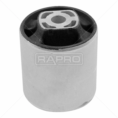 R54865 RAPRO Подвеска, рычаг независимой подвески колеса (фото 1)