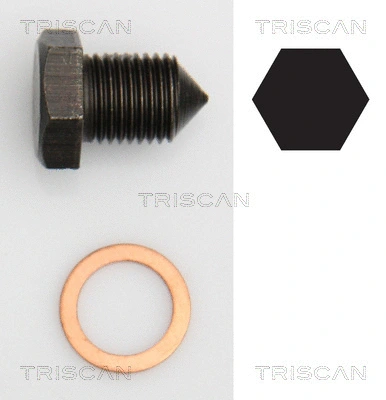 501-2686 TRISCAN Прокладка, головка цилиндра (фото 2)