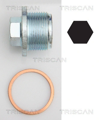501-3211 TRISCAN Прокладка, головка цилиндра (фото 2)