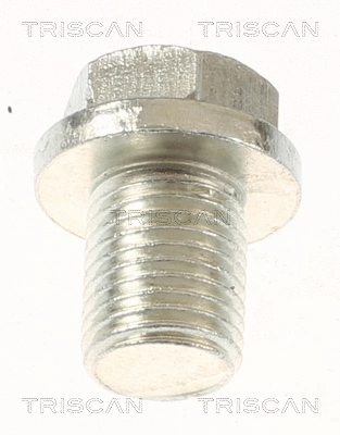 501-3212 TRISCAN Прокладка, головка цилиндра (фото 2)
