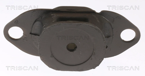 8505 25116 TRISCAN Подвеска, двигатель (фото 2)