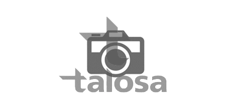 57-00360 TALOSA Подвеска, рычаг независимой подвески колеса (фото 1)