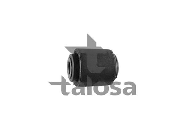 57-06066 TALOSA Подвеска, рычаг независимой подвески колеса (фото 1)