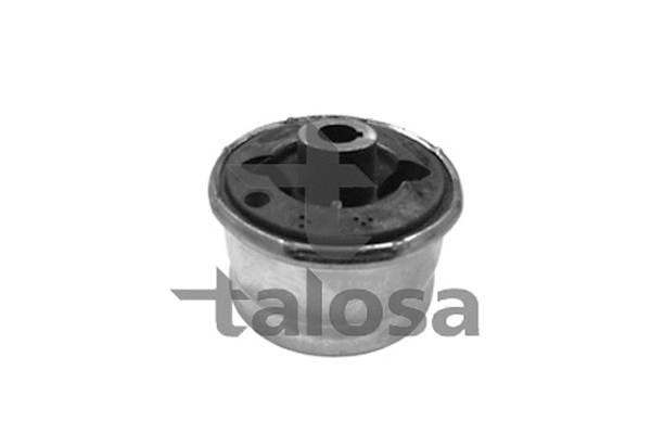 57-09221 TALOSA Подвеска, рычаг независимой подвески колеса (фото 1)