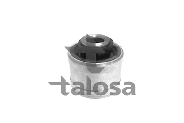 57-13038 TALOSA Подвеска, рычаг независимой подвески колеса (фото 1)
