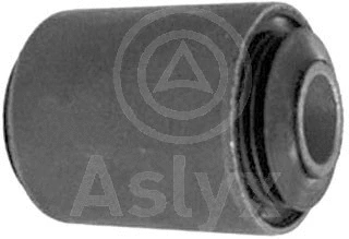 AS-200157 Aslyx Подвеска, рычаг независимой подвески колеса (фото 1)