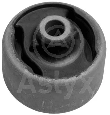 AS-200995 Aslyx Подвеска, рычаг независимой подвески колеса (фото 1)