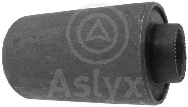 AS-202166 Aslyx Подвеска, рычаг независимой подвески колеса (фото 1)