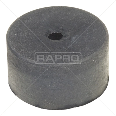 R59009 RAPRO Опора, стабилизатор (фото 1)
