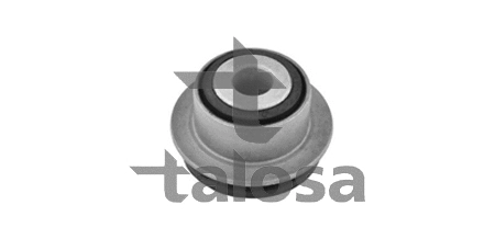 64-16029 TALOSA Подвеска, корпус колесного подшипника (фото 1)