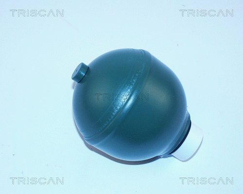 8760 38204 TRISCAN Гидроаккумулятор, подвеска / амортизация (фото 1)