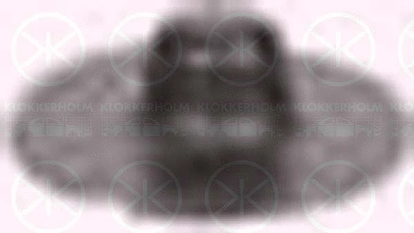 5075855 KLOKKERHOLM Тарелка пружины (фото 1)