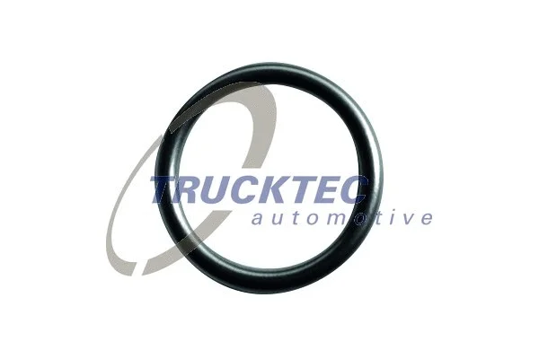 01.10.138 TRUCKTEC AUTOMOTIVE Уплотнительное кольцо (фото 1)