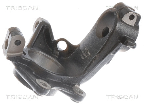 8500 28702 TRISCAN Поворотный кулак, подвеска колеса (фото 3)