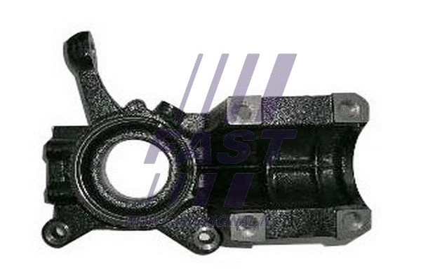 FT13513 FAST Поворотный кулак, подвеска колеса (фото 1)