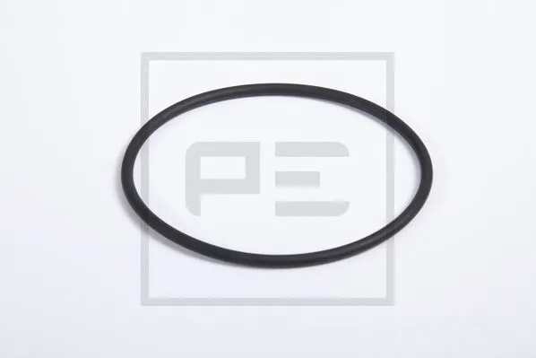 106.207-30A PE AUTOMOTIVE Уплотняющее кольцо, ступица колеса (фото 1)