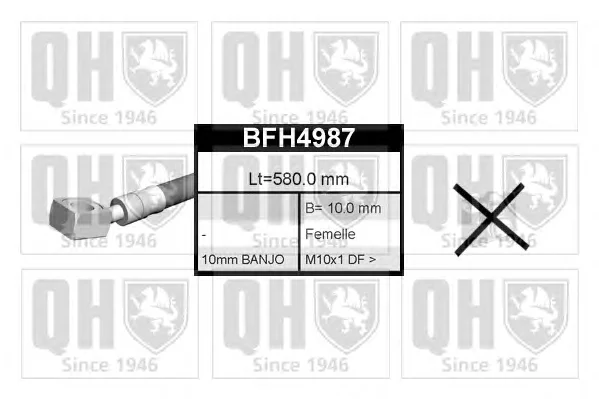 BFH4987 QUINTON HAZELL Тормозной шланг (фото 1)