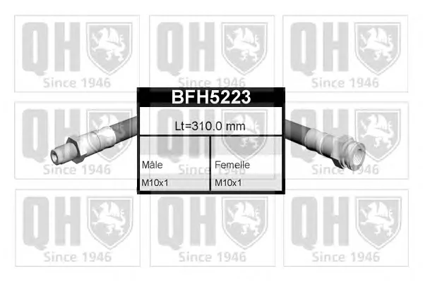 BFH5223 QUINTON HAZELL Тормозной шланг (фото 1)