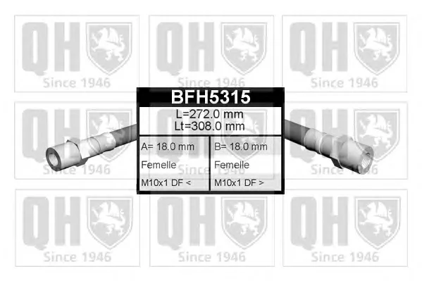 BFH5315 QUINTON HAZELL Тормозной шланг (фото 1)