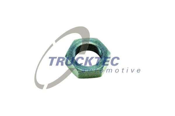 01.67.106 TRUCKTEC AUTOMOTIVE Контргайка, болт регулирования зазора в клапанах (фото 1)