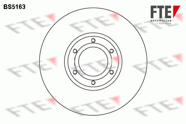BS5163 FTE Тормозной диск (фото 1)