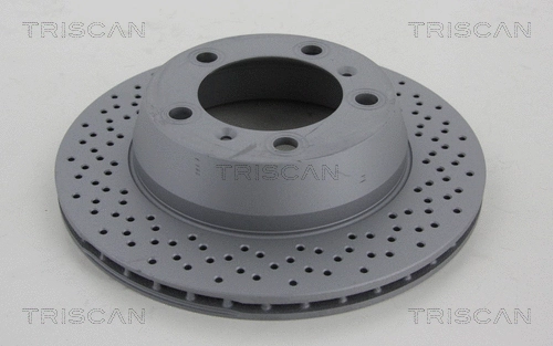 8120 101061C TRISCAN Тормозной диск (фото 1)