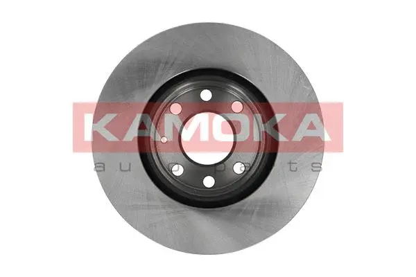 1032194 KAMOKA Тормозной диск (фото 2)